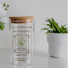 Amatxi Amatxi - Transfer A4 - Botanical Illustrations