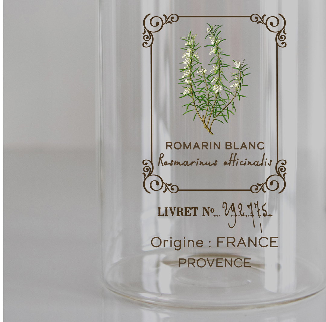 Amatxi Amatxi - Transfer A4 - Botanical Illustrations