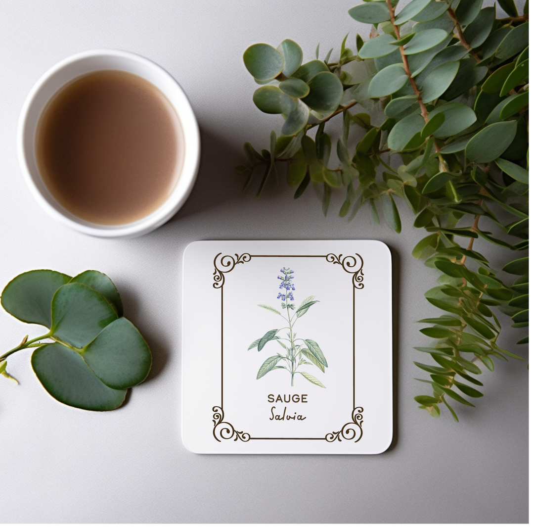 Amatxi Amatxi - Transfer A4 - Botanical Illustrations