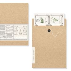 Amatxi Amatxi - Transfer A4 - Botanical Illustrations