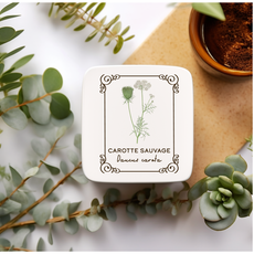 Amatxi Amatxi - Transfer A4 - Botanical Illustrations