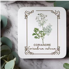 Amatxi Amatxi - Transfer A4 - Botanical Illustrations