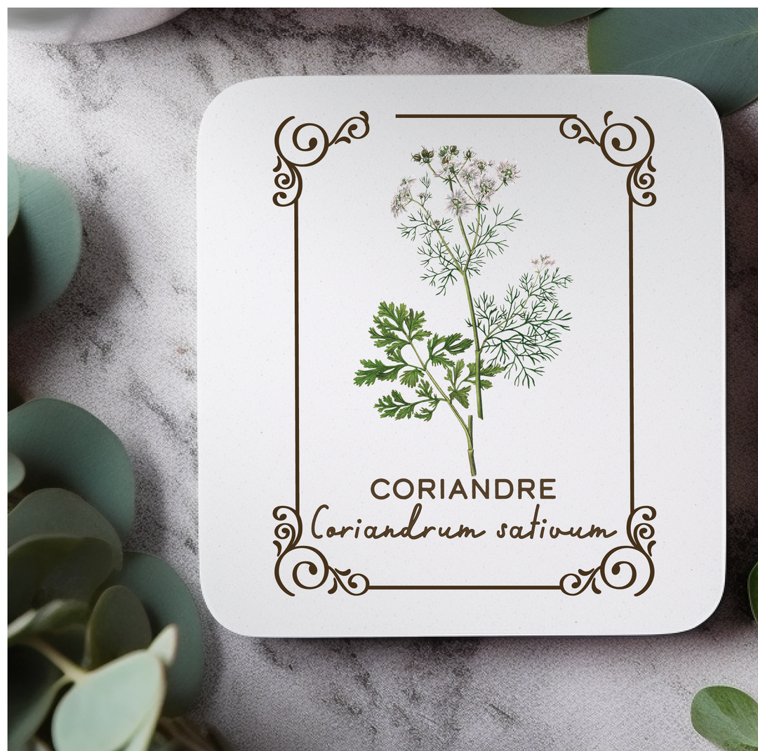 Amatxi Amatxi - Transfer A4 - Botanical Illustrations