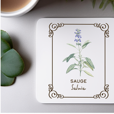Amatxi Amatxi - Transfer A4 - Botanical Illustrations