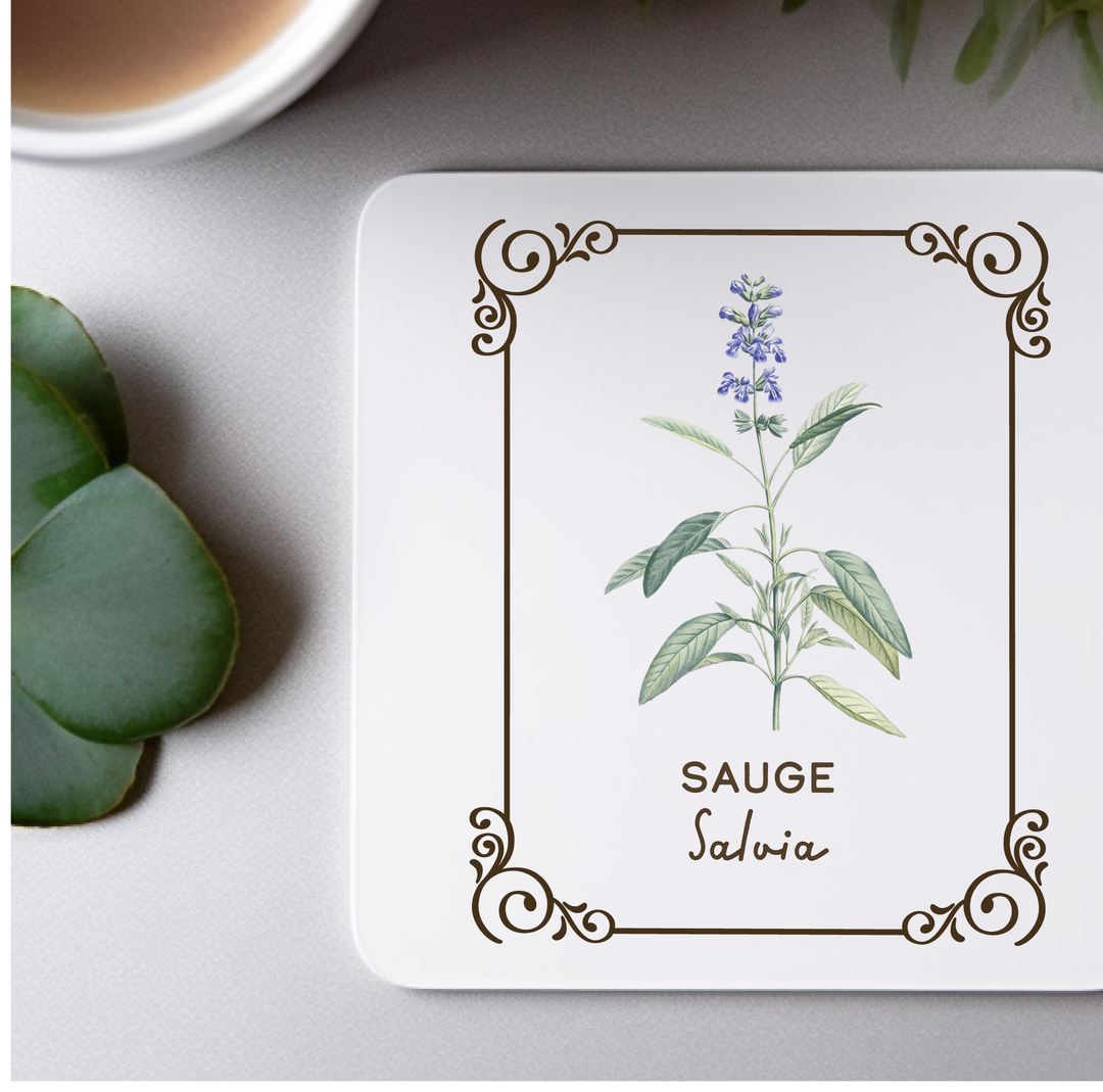 Amatxi Amatxi - Transfer A4 - Botanical Illustrations
