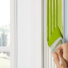 Zibra Zibra - PB250PT - 2,5" Trim Paintbrush
