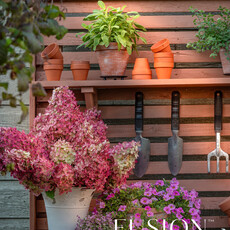 Fusion Mineral Paint Fusion - Iron Clay - 37ml