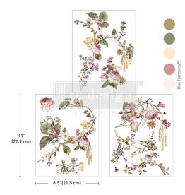 Redesign with Prima Redesign - Transfer A4 - Rosette Royale