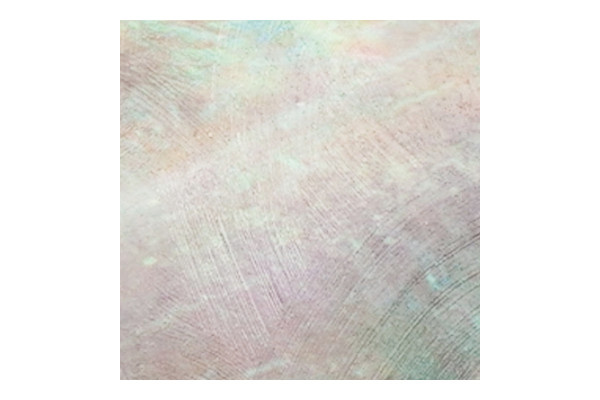 Polyvine Polyvine - Metallic Paint - PEARL - 100ml