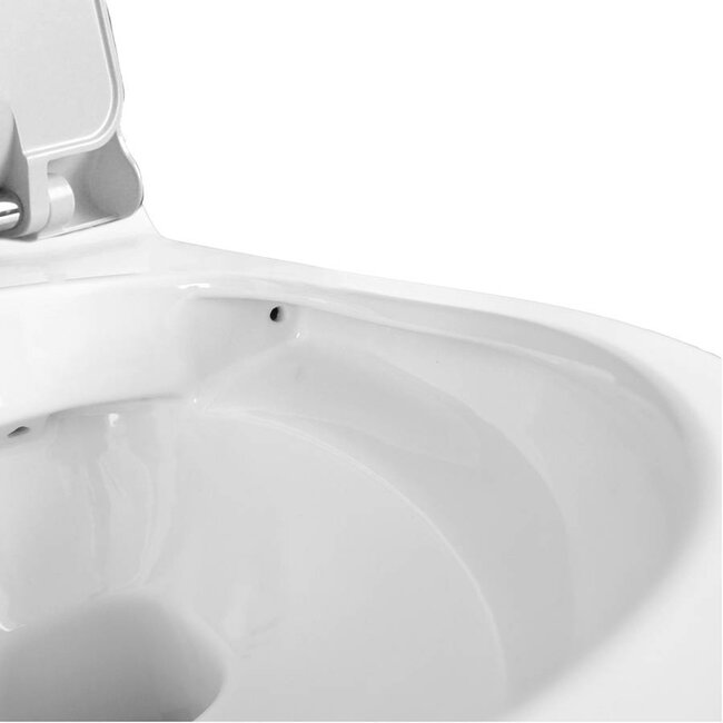 Sanitear Wandcloset met bidet Mineraal HYG01 met softclose toiletzitting