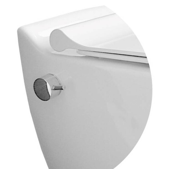 Sanitear Wandcloset met bidet Mineraal HYG01 met softclose toiletzitting