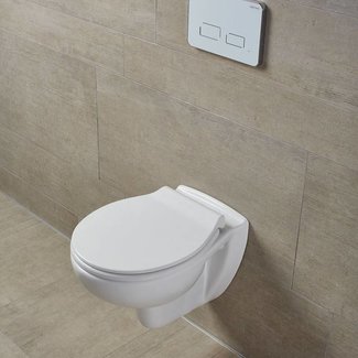 Eigen-A-Merk-Sanitair EGGE Slim Softclose Toiletbril ,Dun, Afklikbare