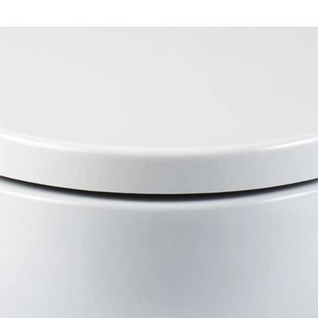 Sanitear Universale Toepassing EGGE Softclose wc bril + Deksel, Afneembaar