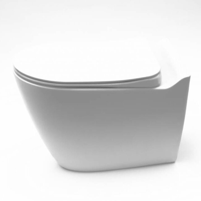 Sanitear MINERAAL hangtoilet zonder spoelrand wit mat