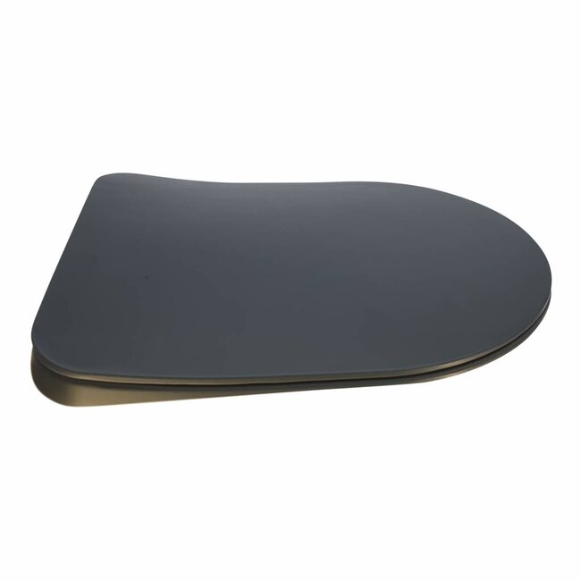 Sanitear Toiletbril softclose, Capri Carbon Flat, afneembaar, Quick Release , mat antraciet