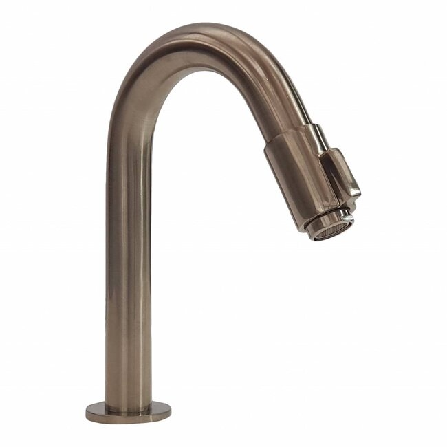 Como Svane Fonteinkraan geborsteld nikkel
