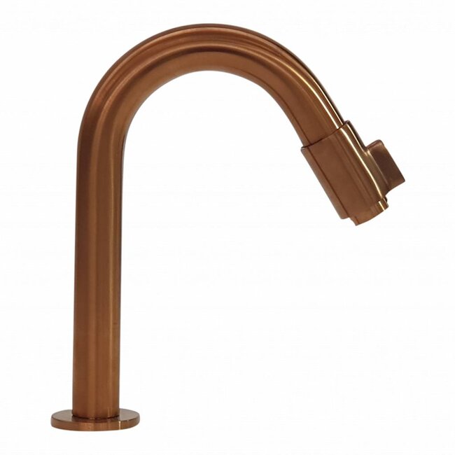 Como  Black'N Roses fonteinkraan hoog FKHK13 geborsteld koper 12.5 cm uitloop