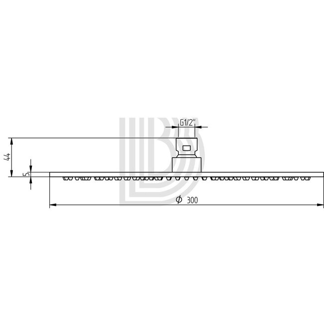 RVS hoofddouche 30 cm