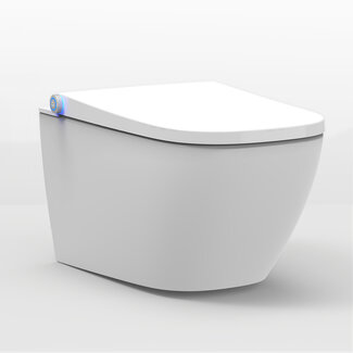 Eigen-A-Merk-Sanitair wc met bidet HYG71