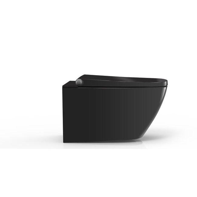 Sanitear Mineraal hyg70 wc met bidet