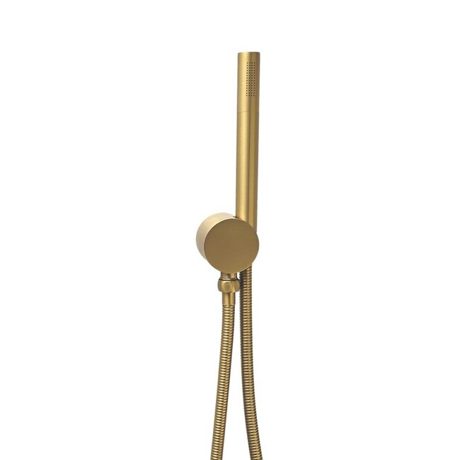 Hansgrohe Ecostat S doucheset goud met 30 cm douchekop-Como