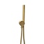 Hansgrohe Ecostat S doucheset goud met 30 cm douchekop-Como