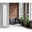 Verticale designradiator 40 cm breed - Recht  - Mat Wit