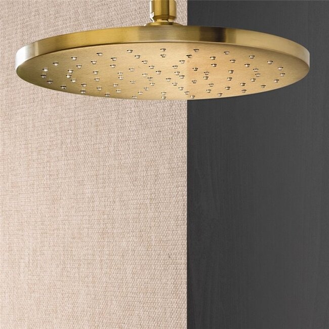 regendouchekop 30cm diameter met wandarm 35cm lengte - Geborsteld Messing