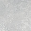 Sanitear Grijze betonlook tegel 60×60 cm – gerectificeerd – geschikt voor wand & vloer