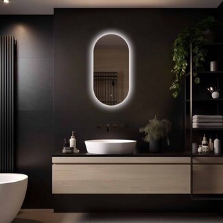 Loxa Ovale Badkamerspiegel Fiona 40x80 cm – LED