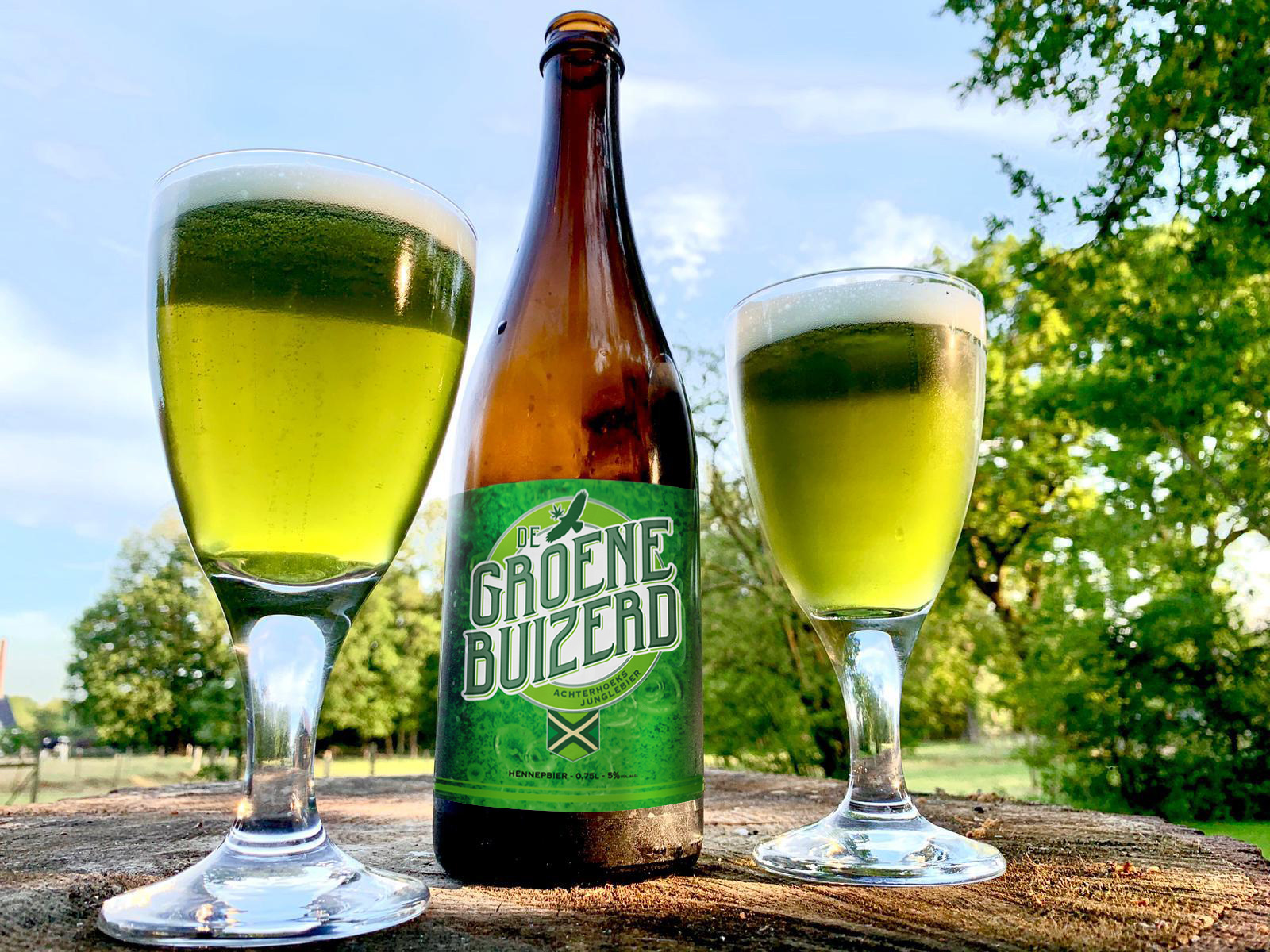 Bronckhorster & De Feestfabriek present:  De Groene Buizerd!