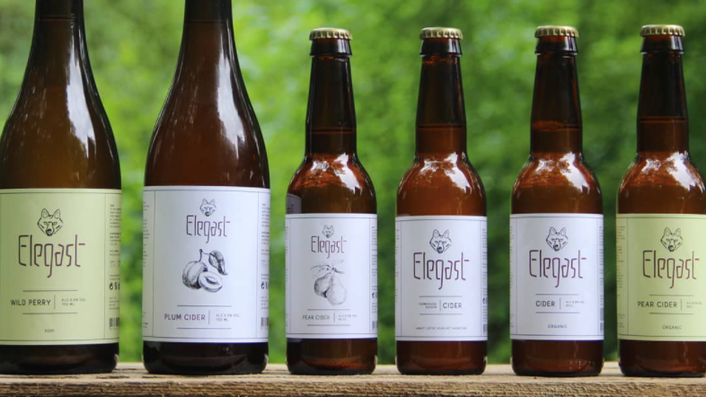 Ambachtelijke Nederlandse Cider