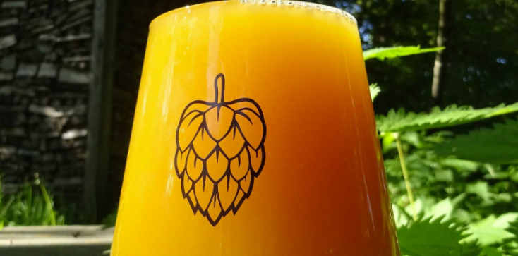 Folkingebrew: Nieuw bij Van Bieren