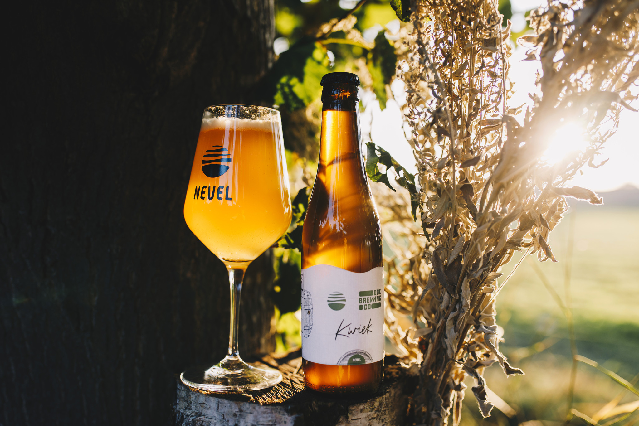 Winterbieren van Nevel Wild Ales