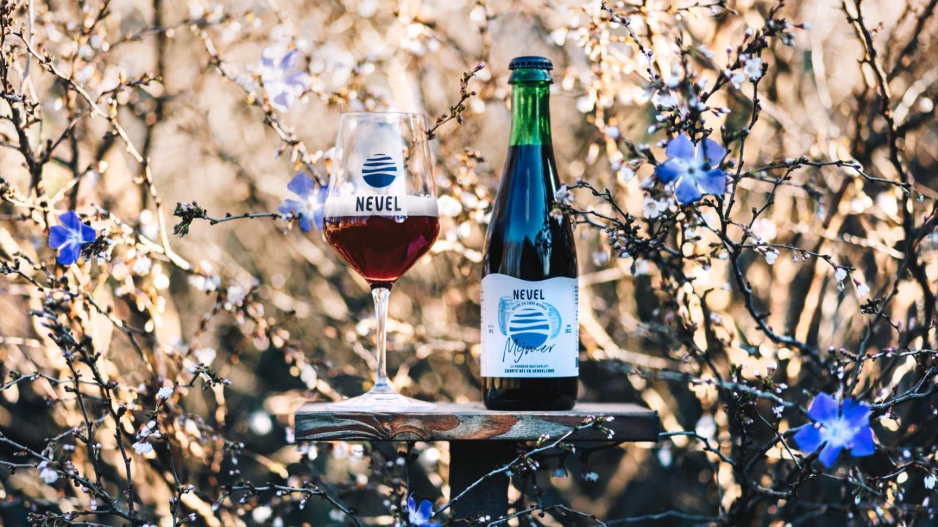 De Lente komt eraan!