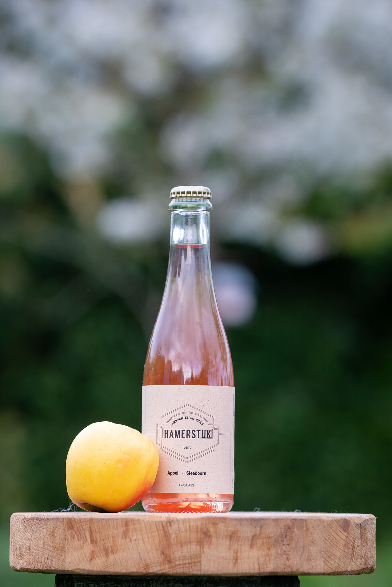 Hamerstuk Appel - Sleedoorn (2021) 12x37,5CL