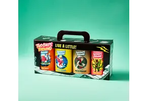 Cadeauverpakking Blik 4-Pack 6x4x33CL