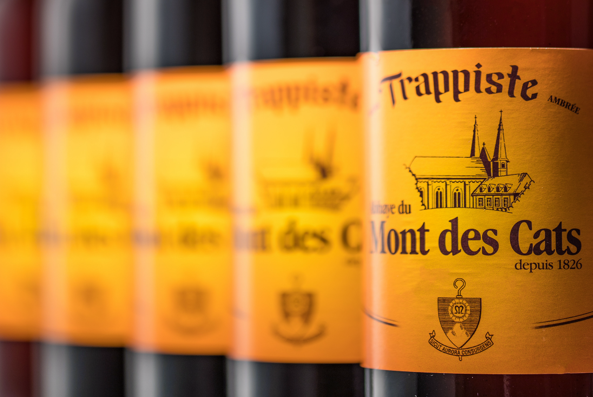 Nieuw: Mont des Cats, de Franse Trappist