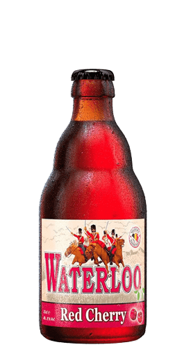 Timmermans Waterloo Red Cherry 24x33CL