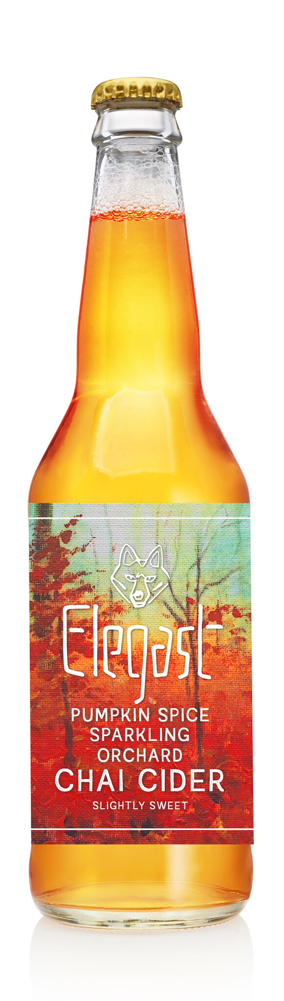 Elegast Cider Pumpkin Spice Chai Cider 24x33CL