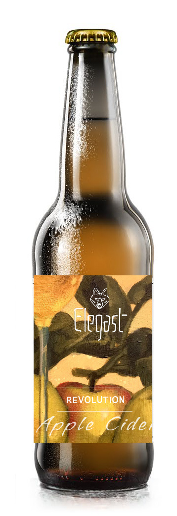 Elegast Cider Revolution Apple Cider Fles 24x33CL