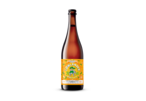 Mango IPA 6x75CL