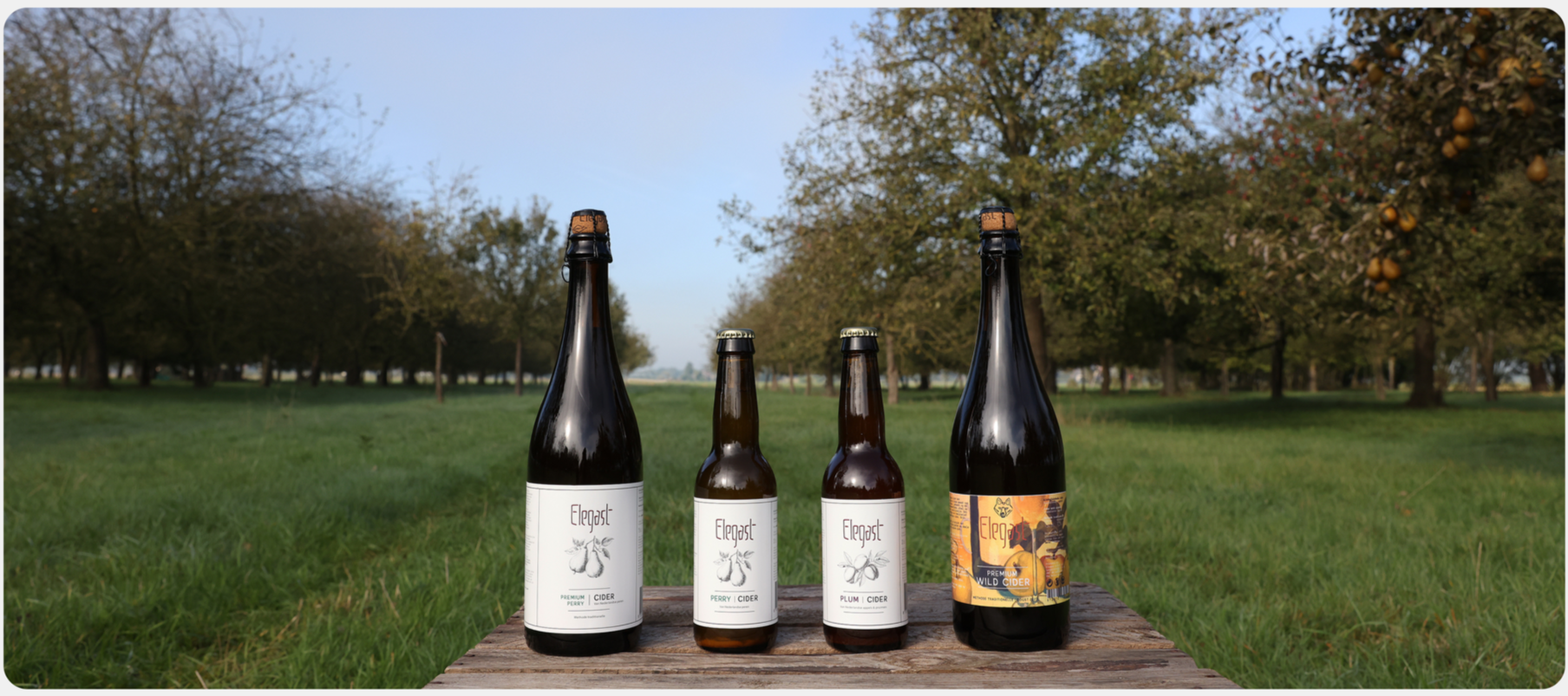 Elegast Cider is terug!