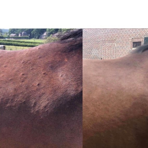 Minou Kramer: "alle bultjes zijn weg..."
