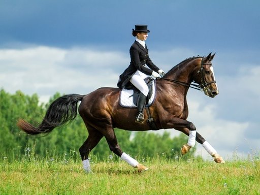 Spieropbouw paard | Maak van je paard een Atleet