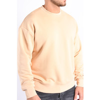 Y Sweater crew neck “nick” beige