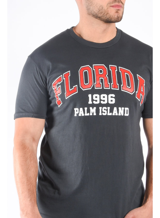 T-Shirt Florida - Anthracite