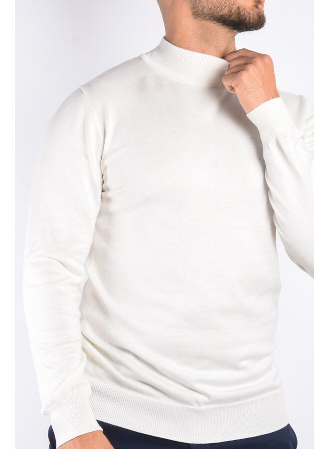 Basic Premium Turtle Neck - White