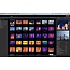 FLIR Tools+ Software (licentie)