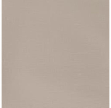 Winsor & Newton Galeria acrylverf 500ml Pale Umber 438